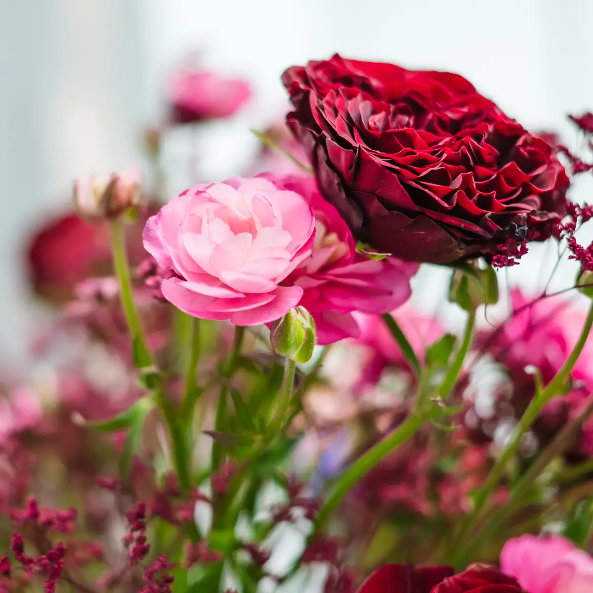 Flowers 11