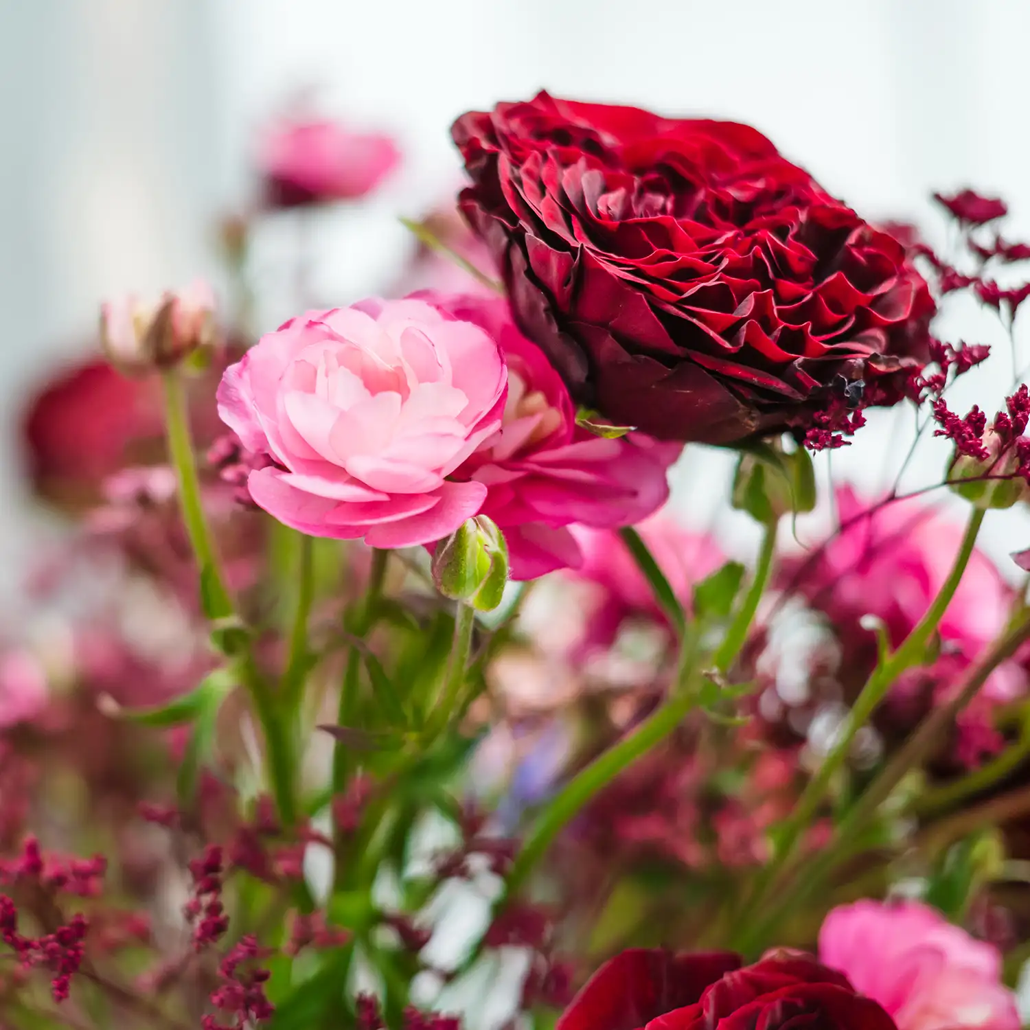 Flowers_11