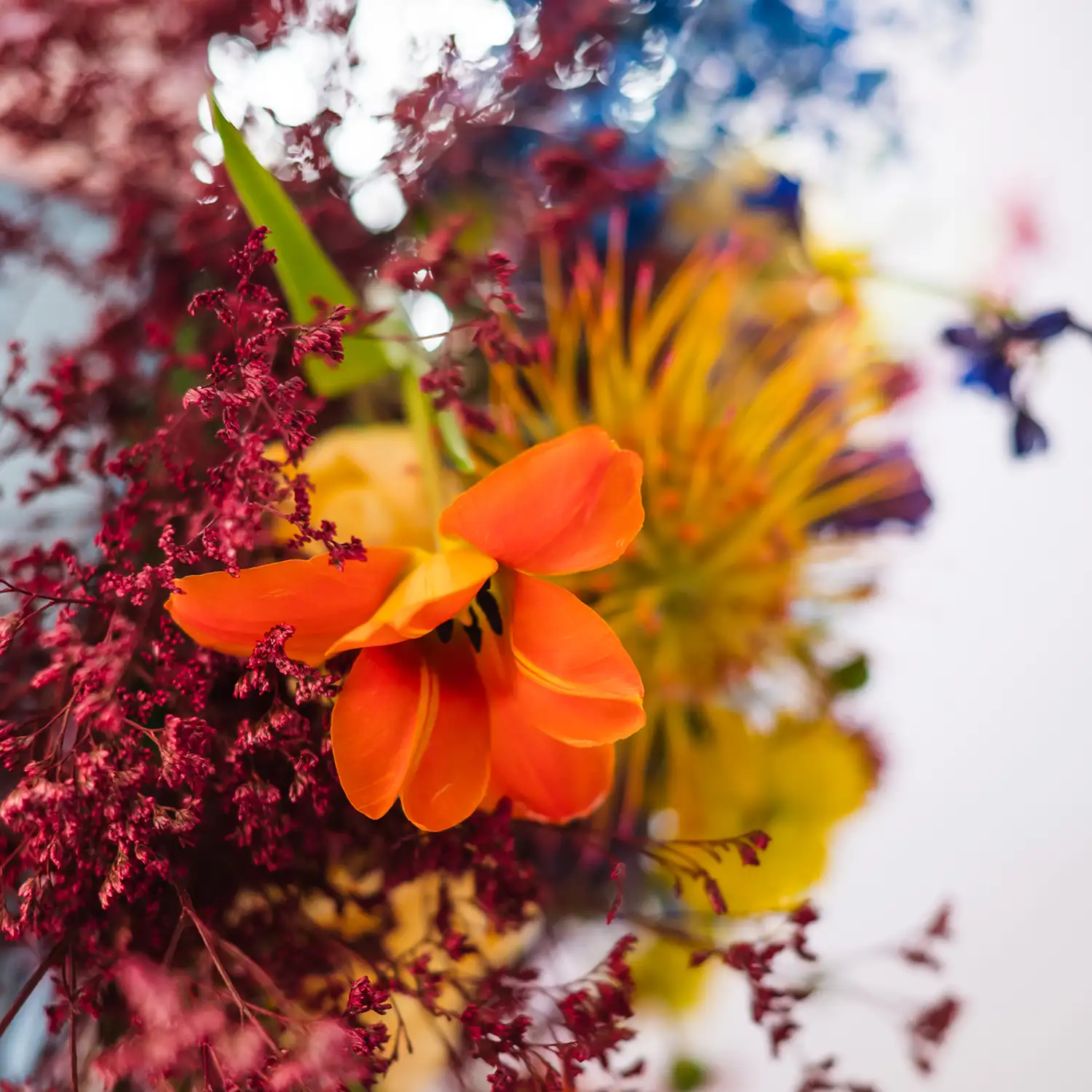 Flowers_12